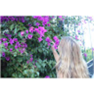 Meet your Posher, Allie